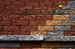 Yellow  Better that Brick, copyright Bill Dusterwald