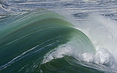 Big Wave, copyright Wayne Robinson