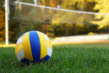 Grass Volleyball